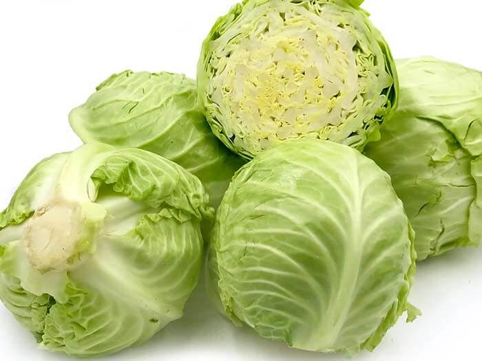 Cabbage