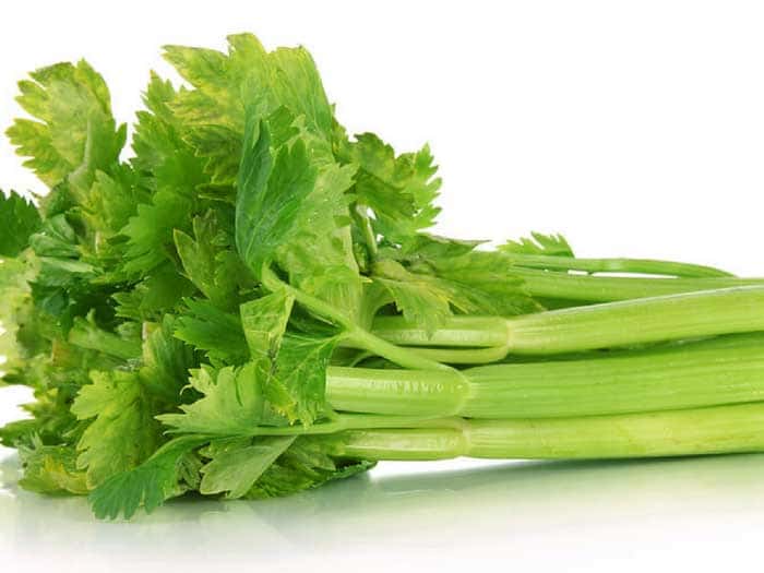Celery