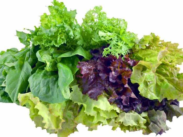 mix-lettuce