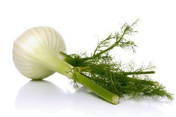 Baby Fennel