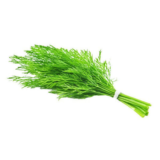 Dill