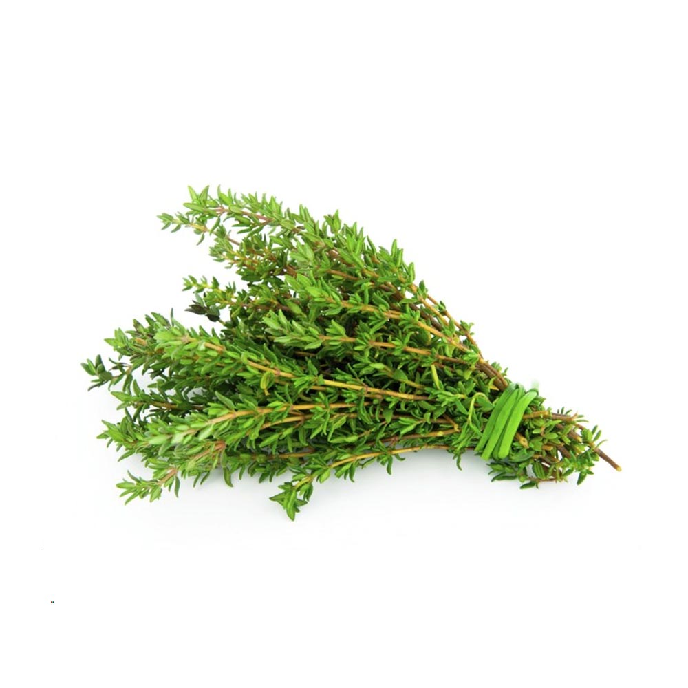Thyme