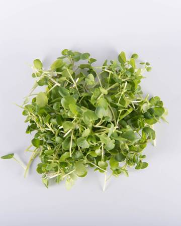 watercress